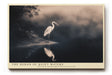 Paul Sinus Wandbild The Heron of Quiet Waters Serenity in Still Reflection