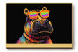 Paul Sinus Wandbild The Hip Hoppo farbenfrohes Tiermotiv mit Nilpferd und Sonnenbrille für moderne Wohnräume voller Witz und Charakter