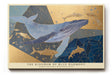 Paul Sinus Wandbild The Kingdom of Blue Harmony Grace of Whales in Golden Depths