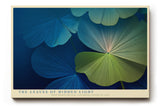 Paul Sinus Wandbild The Leaves of Hidden Light abstraktes Naturmotiv in tiefem Blau und zartem Grün mit leuchtenden Akzenten