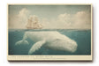 Paul Sinus Wandbild The Legend of Moby Dick – gewaltiger weißer Wal unter historischem Segelschiff symbolisiert Mythos, Stärke und das Unbekannte