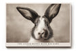 Paul Sinus Wandbild The Little Bunny with Big Ears His Funny Face Makes Everyone Smile