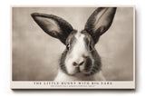 Paul Sinus Wandbild The Little Bunny with Big Ears His Funny Face Makes Everyone Smile