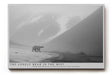 Paul Sinus Wandbild The Lonely Bear in the Mist Polar Silence Across Grey Mountains