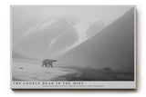 Paul Sinus Wandbild The Lonely Bear in the Mist Polar Silence Across Grey Mountains
