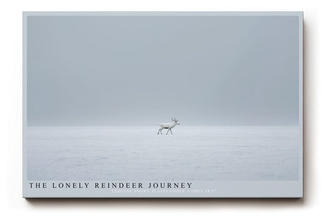 Paul Sinus Wandbild The Lonely Reindeer Journey – Minimalistische Winterlandschaft mit einsamem Rentier auf weiter Schneefläche, Symbol für Stille und Ausdauer