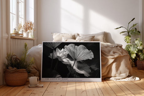 Paul Sinus Wandbild The Lotus of Night – Ästhetische Komposition von Licht und Schatten mit geheimnisvoller Lotusblüte – Ausdrucksstarkes Wandbild in Schwarzweiß mit poetischer Tiefe.