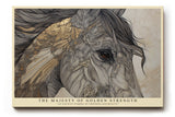 Paul Sinus Wandbild The Majesty of Golden Strength Horse of Freedom and Grace