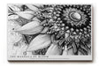 Paul Sinus Wandbild The Mandala of Bloom Detaillierte Schwarz-Weiß-Zeichnung eines floralen Mandalas mit fein ausgearbeiteten Linien und ornamentaler Tiefe.