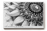 Paul Sinus Wandbild The Mandala of Bloom Detaillierte Schwarz-Weiß-Zeichnung eines floralen Mandalas mit fein ausgearbeiteten Linien und ornamentaler Tiefe.