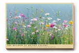 Paul Sinus Wandbild The Meadow of Bright Colors – Blühende Sommerwiese unter blauem Himmel