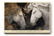 Paul Sinus Wandbild The Meeting of Storms and Grace Horses in Eternal Motion of Power and Elegance