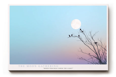 Paul Sinus Wandbild The Moon Gathering poetisches Naturmotiv mit Vögeln auf Ästen im Mondlicht für elegante, ruhige und moderne Raumgestaltung