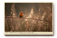 Paul Sinus Wandbild The Morning Spark of Nature – kleiner Vogel auf Grashalm im goldenen Morgenlicht symbolisiert Leichtigkeit und Natürlichkeit