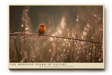 Paul Sinus Wandbild The Morning Spark of Nature – kleiner Vogel auf Grashalm im goldenen Morgenlicht symbolisiert Leichtigkeit und Natürlichkeit