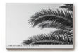 Paul Sinus Wandbild The Palm Leaves Above – Tropische Formen im monochromen Spiel aus Licht und Schatten