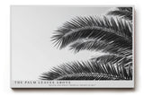 Paul Sinus Wandbild The Palm Leaves Above – Tropische Formen im monochromen Spiel aus Licht und Schatten
