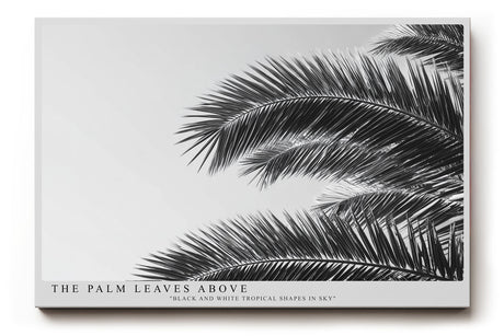 Paul Sinus Wandbild The Palm Leaves Above – Tropische Formen im monochromen Spiel aus Licht und Schatten