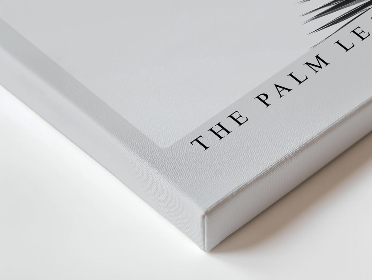 Paul Sinus Wandbild The Palm Leaves Above – Tropische Formen im monochromen Spiel aus Licht und Schatten