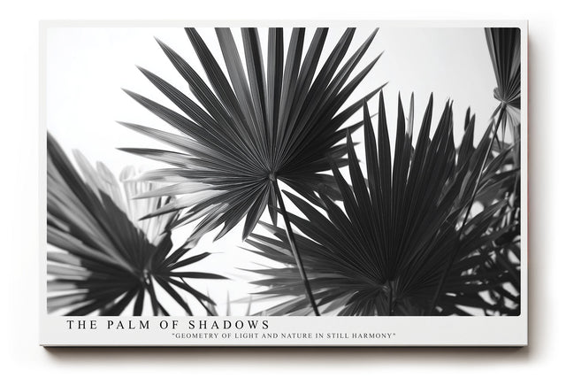 Paul Sinus Wandbild The Palm of Shadows – Geometrische Eleganz tropischer Formen in monochromer Ruhe – Stilvolles Wandbild mit grafischer Palmblattstruktur