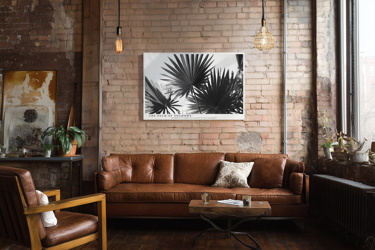 Paul Sinus Wandbild The Palm of Shadows – Geometrische Eleganz tropischer Formen in monochromer Ruhe – Stilvolles Wandbild mit grafischer Palmblattstruktur