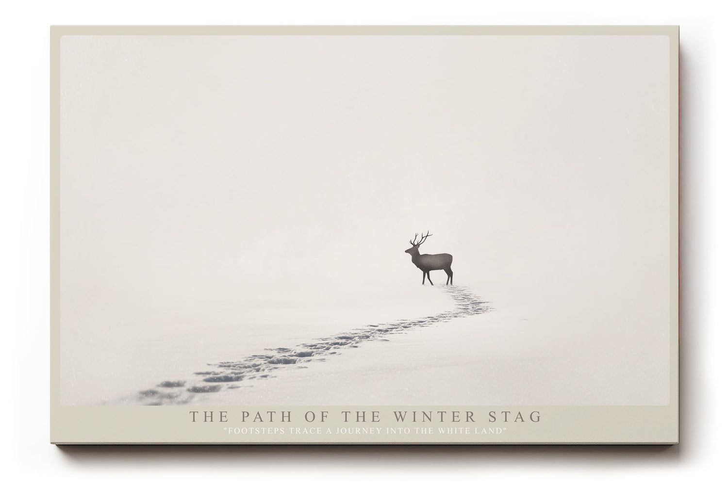 Paul Sinus Wandbild The Path of the Winter Stag – Minimalistisches Wintermotiv mit Hirsch und Fußspuren im Schnee, Symbol für Einsamkeit, Kraft und Beständigkeit
