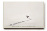 Paul Sinus Wandbild The Path of the Winter Stag – Minimalistisches Wintermotiv mit Hirsch und Fußspuren im Schnee, Symbol für Einsamkeit, Kraft und Beständigkeit