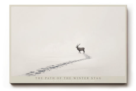 Paul Sinus Wandbild The Path of the Winter Stag – Minimalistisches Wintermotiv mit Hirsch und Fußspuren im Schnee, Symbol für Einsamkeit, Kraft und Beständigkeit