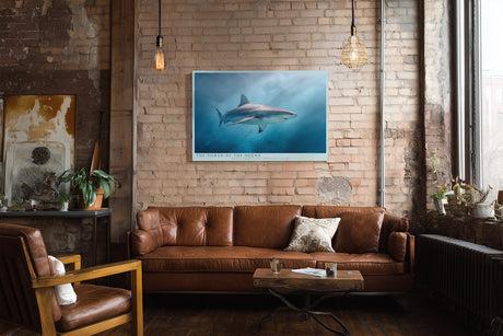 Paul Sinus Wandbild The Power of the Ocean – Dynamisches Unterwassermotiv eines Haies – Kraftvolles Wandbild voller Tiefe und Energie.