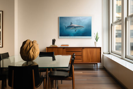 Paul Sinus Wandbild The Power of the Ocean – Dynamisches Unterwassermotiv eines Haies – Kraftvolles Wandbild voller Tiefe und Energie.