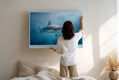 Paul Sinus Wandbild The Power of the Ocean – Dynamisches Unterwassermotiv eines Haies – Kraftvolles Wandbild voller Tiefe und Energie.