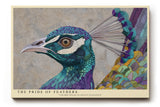 Paul Sinus Wandbild The Pride of Feathers Elegance in Color and Form