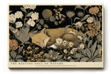 Paul Sinus Wandbild The Resting Soul of Nature Fox Among Blossoms Under Night Sky