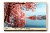 Paul Sinus Wandbild The River of Dreaming Trees verträumtes Landschaftsmotiv mit rosa Bäumen und ruhigem Flusslauf