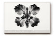 Paul Sinus Wandbild The Shadow Bloom Unfolded abstraktes florales Kunstwerk in Schwarz Weiß mit kraftvoller Symbolik zwischen Licht und Schatten