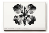 Paul Sinus Wandbild The Shadow Bloom Unfolded abstraktes florales Kunstwerk in Schwarz Weiß mit kraftvoller Symbolik zwischen Licht und Schatten