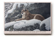 Paul Sinus Wandbild The Silent Guardian of the Mountains Strength and Grace Rest in Winter Silence