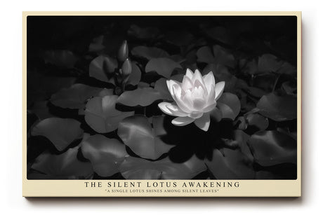 Paul Sinus Wandbild The Silent Lotus Awakening poetisches Motiv einer weißen Lotusblüte im Schwarz Weiß Kontrast