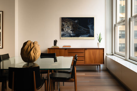 Paul Sinus Wandbild The Silent Stare of Night Leopard Under the Moonlight