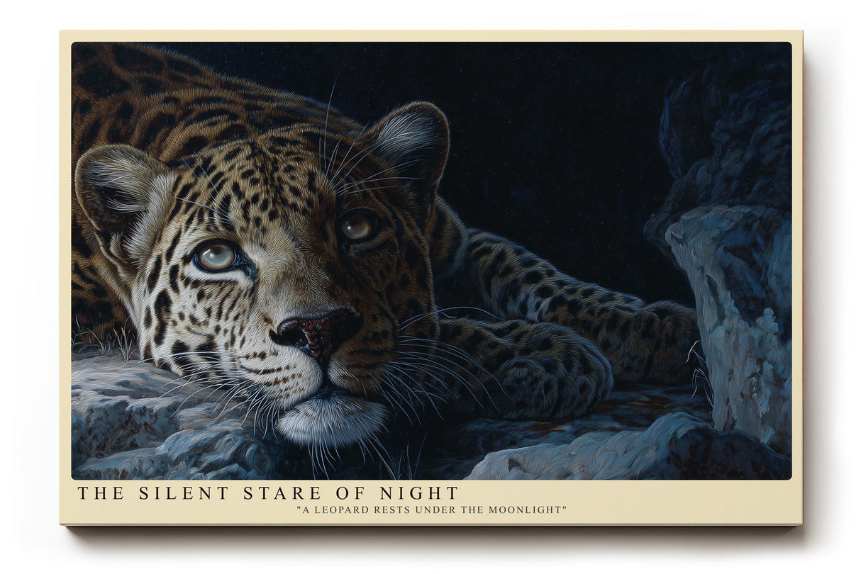 Paul Sinus Wandbild The Silent Stare of Night Leopard Under the Moonlight