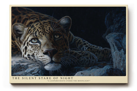 Paul Sinus Wandbild The Silent Stare of Night Leopard Under the Moonlight