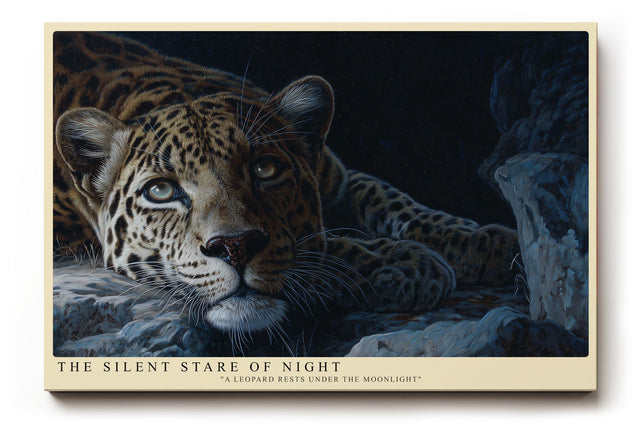 Paul Sinus Wandbild The Silent Stare of Night Leopard Under the Moonlight