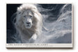 Paul Sinus Wandbild The Silent Strength of Light White Lion Emerging from Mists of Power