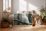 Paul Sinus Wandbild The Silent Watcher in the Cold winterliches Tiermotiv mit Schnee-Eule in ruhiger Landschaft