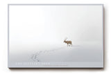 Paul Sinus Wandbild The Solitary Deer minimalistisches Naturmotiv mit Hirsch im Schnee und sanfter Winterstimmung für ruhige Wohnräume und moderne Interieurs