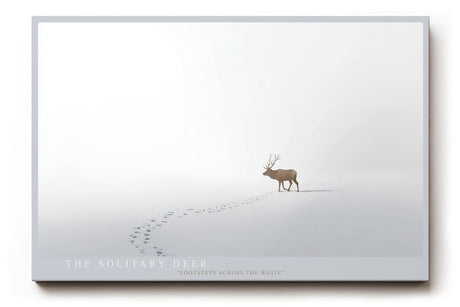 Paul Sinus Wandbild The Solitary Deer minimalistisches Naturmotiv mit Hirsch im Schnee und sanfter Winterstimmung für ruhige Wohnräume und moderne Interieurs