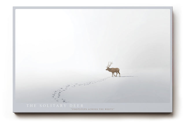 Paul Sinus Wandbild The Solitary Deer minimalistisches Naturmotiv mit Hirsch im Schnee und sanfter Winterstimmung für ruhige Wohnräume und moderne Interieurs