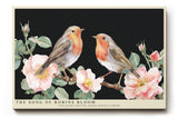 Paul Sinus Wandbild The Song of Robins Bloom – Zarte Darstellung zweier Rotkehlchen auf blühenden Zweigen – Romantisches Wandbild voller Leichtigkeit und Harmonie.