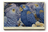 Paul Sinus Wandbild The Song of Tropical Night Blue Parrots in Moonlight