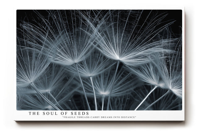 Paul Sinus Wandbild The Soul of Seeds – Makroaufnahme zarter Samenflieger, Symbol für Leichtigkeit, Neubeginn und natürliche Poesie